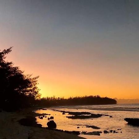 Moorea Temae Bungalow Lory Bord De Mer Экстерьер фото