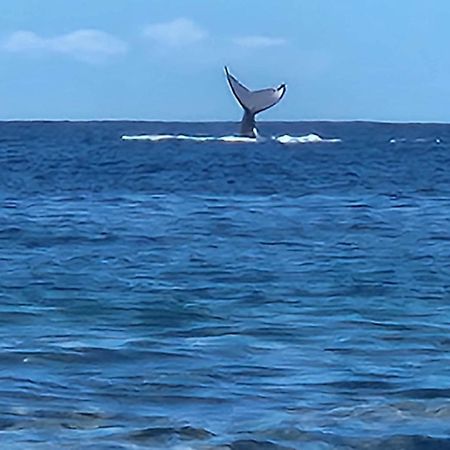 Moorea Temae Bungalow Lory Bord De Mer Экстерьер фото